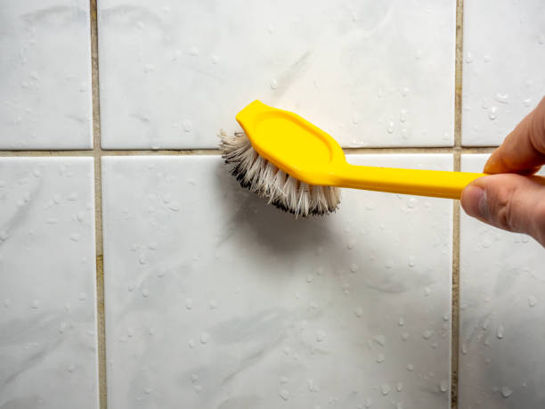 Best DIY Mold Remediation Support Services in Bowie, TX