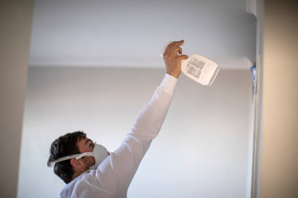 Best Commercial Mold Remediation in Bowie, TX