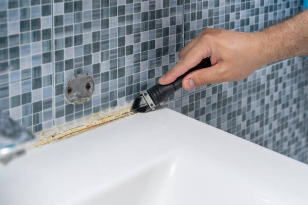 Best Bathroom Mold Remediation in Bowie, TX