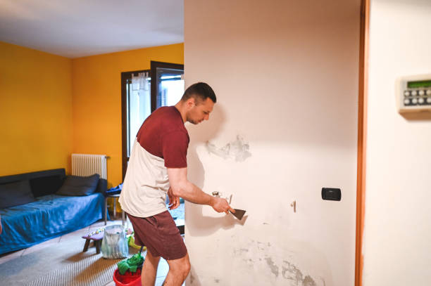 Best Mold Testing and Inspection Services in Bowie, TX