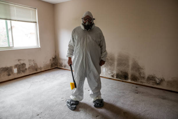 Best Preventive Mold Services in Bowie, TX